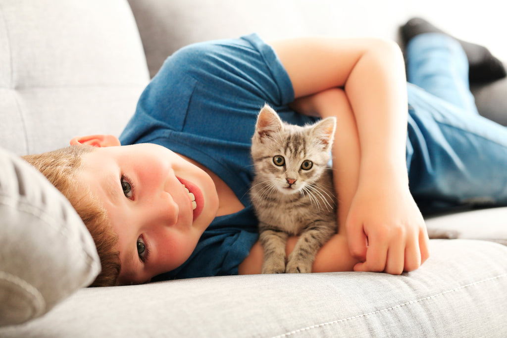 A Comprehensive Guide to Feeding Your Kitten