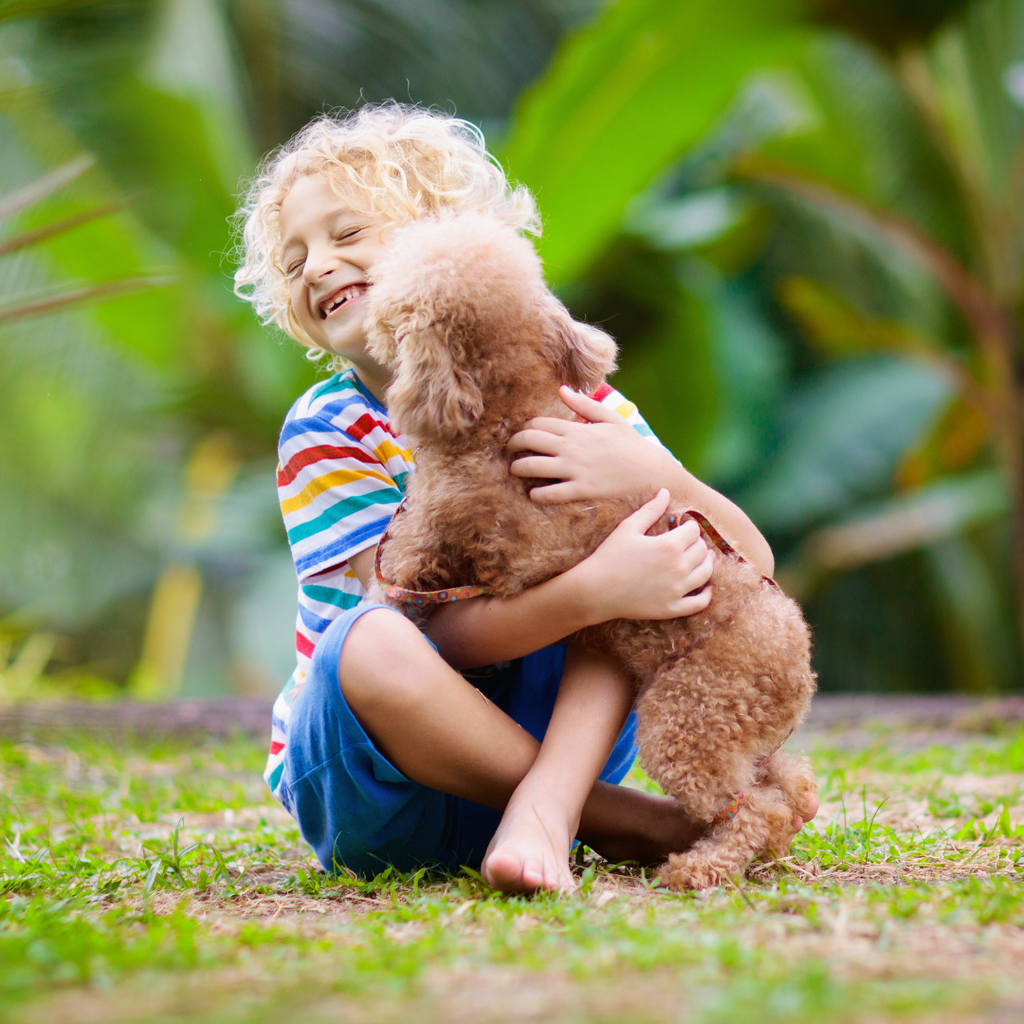How to introduce a new pet to the family.